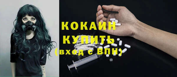 гидра Алексин