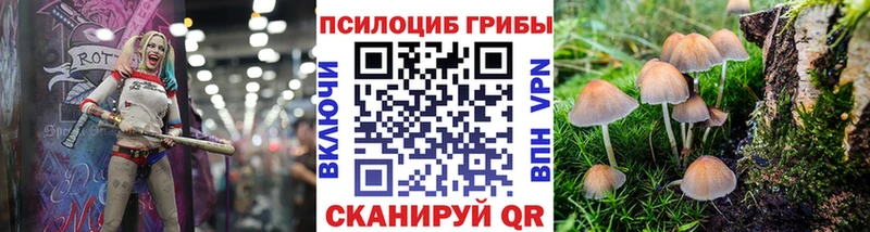Псилоцибиновые грибы MAGIC MUSHROOMS  Новая Ляля 
